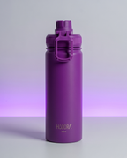 Garrafa Térmica Hiddra 600ml - H600 Roxo